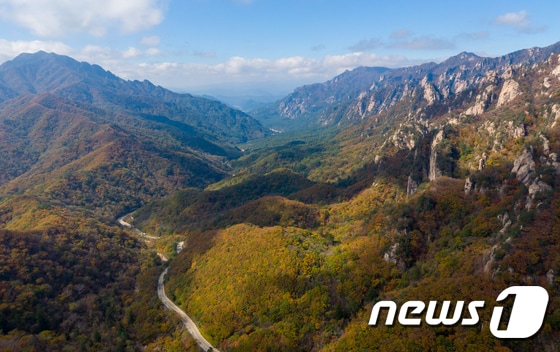 지난해 강원 양양에서 인제군에 걸친 설악산국립공원 한계령 일대 자료사진. © News1 