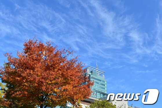 지난 26일 경북 포항 시청사 위로 푸른 가을하늘이 펼쳐지고 있다. 2021.10.26/뉴스1 © News1 최창호 기자