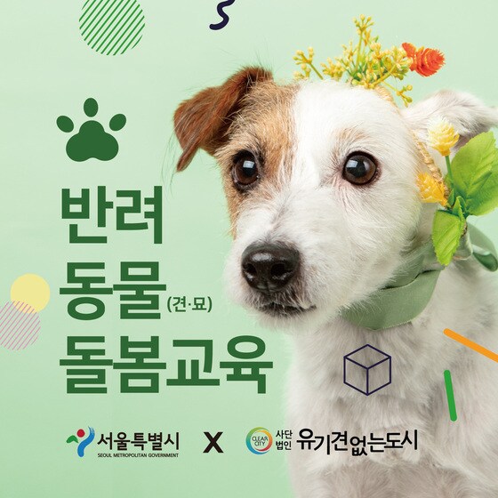 서울시 반려동물 돌봄교육 포스터 © 뉴스1