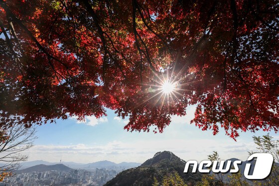 12일 서울 북악산 곡장전망대에서 붉게 물든 단풍잎 뒤로 서울 도심이 보이고 있다. 2021.11.12/뉴스1 © News1 성동훈 기자