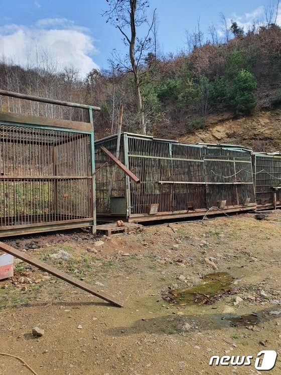 반달가슴곰 5마리가 탈출한 용인 사육농장 모습.(경기도소방재난본부 제공)© News1  