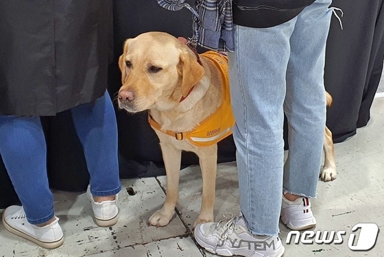 '제30회 코리아펫쇼'가 26일 서울 서초구 aT센터에서 열렸다. 보호자와 함께 방문한 강아지 중에는 예비 안내견 리트리버도 볼 수 있었다. © 뉴스1 최서윤 기자