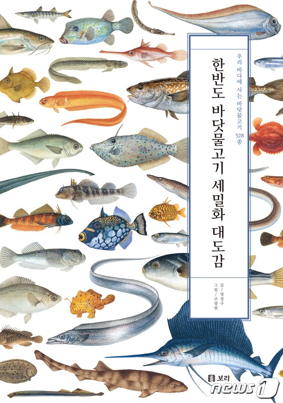 한반도 바닷물고기 세밀화 대도감© 뉴스1