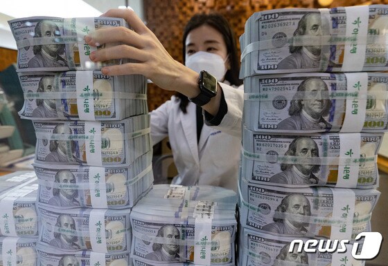 서울 중구 하나은행 위변조대응센터에서 직원이 미국 달러를 정리하고 있다. 2021.12.3/뉴스1DB
