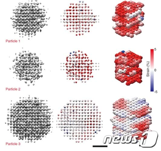 3D 싱글 알고리즘을 활용해 얻은 백금 나노입자의 3차원 구조(사진제공:IBS)© 뉴스1