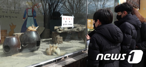 전북 전주동물원(사진은 기사 내용과 무관함) / 뉴스1 © News1 