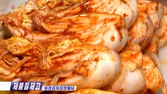 북한 류경김치공장에서 생산되는 김치. (조선의 오늘 갈무리) © 뉴스1