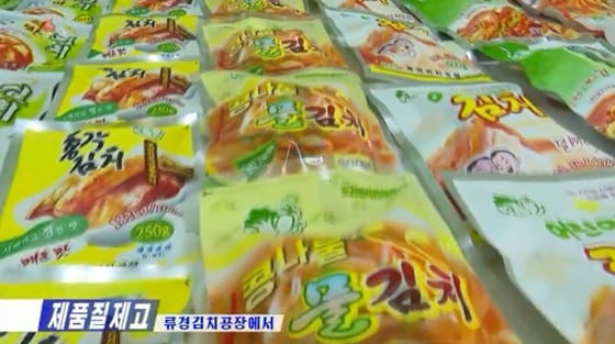 북한 류경김치공장에서 생산되는 김치 제품. (조선의 오늘 갈무리) © 뉴스1