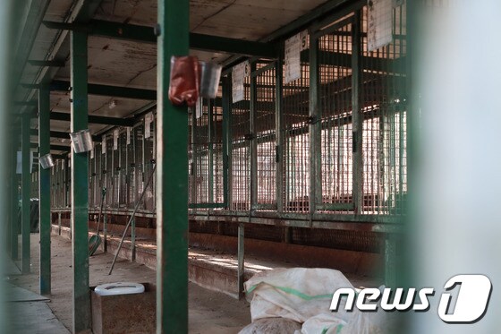 남양주 일패동 불법 개 경매장 내부 © 뉴스1