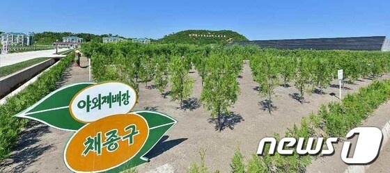 (평양 노동신문=뉴스1) = 북한 노동당 기관지 노동신문은 26일 산림복구의 필요성을 강조했다. 신문은 