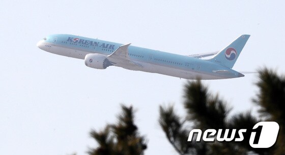  인천국제공항에서 대한항공 항공기가 이륙하고 있다.  /뉴스1 © News1 박지혜 기자