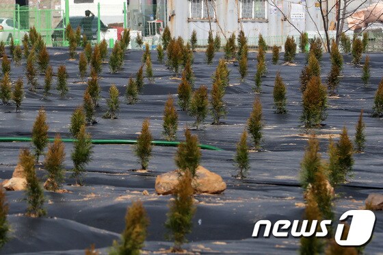 경기도 시흥시 과림동 소재 농지의 모습. 2021.3.11/뉴스1 © News1 이동해 기자