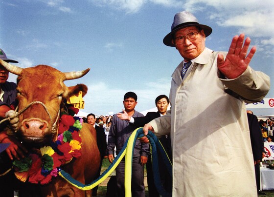 1998년 6월 정주영 현대그룹 명예회장이 소떼를 끌고 북한으로 향하고 있다. (현대그룹 제공) © 뉴스1