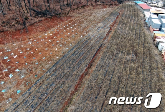 LH 직원들이 사들인 경기도 시흥시 무지내동 소재 농지 일대의 모습. 2021.3.4/뉴스1 © News1 구윤성 기자