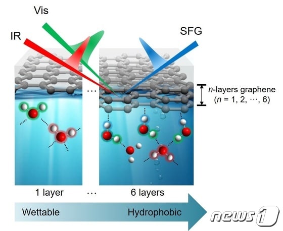 합-주파수 생성 분광법을 이용하여 얻은 그래핀-물 계면에서 물 분자의 수소결합 구조(IBS 제공) © 뉴스1