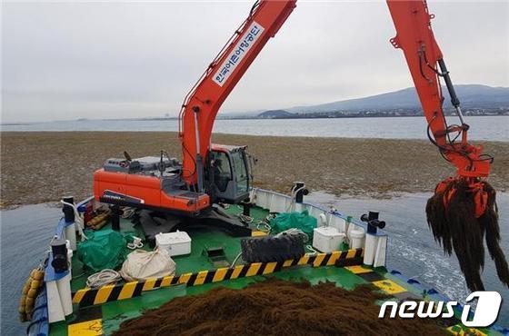 2월 어항제주1호가 제주해역에서 괭생이모자반을 수거하고 있다.(한국어촌어항공단 제공)© 뉴스1
