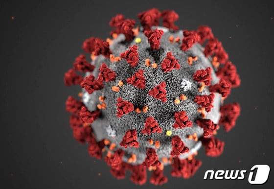 코로나19 바이러스 모형도 © AFP=뉴스1