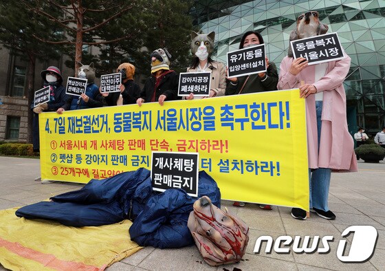 '새로운 서울시장, 동물 살리는 복지정책 촉구'