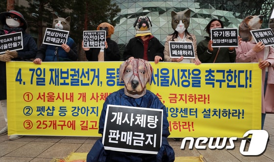 '차기 서울시장은 동물 위한 복지정책 마련하라'