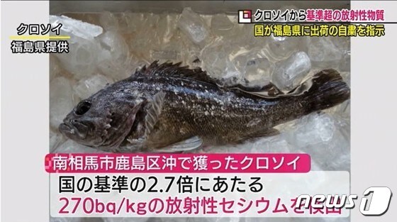 일본 후쿠시마 앞바다에서 기준치를 초과하는 방사성 세슘이 포함된 생선이 또 다시 잡혔다. © 뉴스1