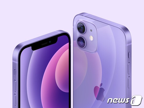 애플이 지난해 출시한 아이폰12에 퍼플 색상을 새롭게 추가했다. © 뉴스1