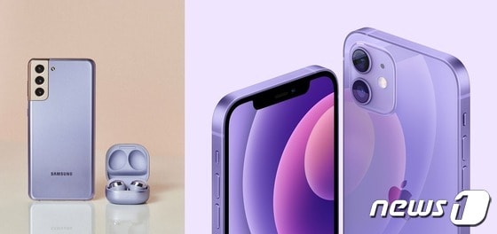 2021년 상반기 스마트폰을 상징하는 색상은 '보라색'이 될 것으로 보인다. 삼성전자 갤럭시S21 '팬텀 바이올렛'(왼쪽)과 애플 아이폰12 퍼플 © 뉴스1