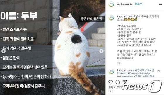 국민대 인스타그램 게시글 (국민대 제공) © 뉴스1