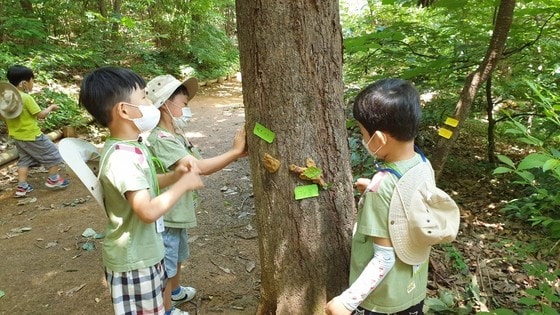유아숲체험원(강동구 제공).© 뉴스1
