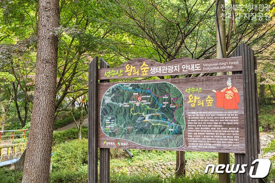 전북 임실군이 문화체육관광부와 한국관광공사가 추진하는 '2021년 관광두레사업'에 최종 선정됐다.© 뉴스1