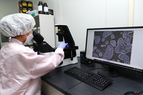 차바이오텍 연구원이 배양 중인 줄기세포를 확인하고 있다.(사진제공=차바이오텍)  © 뉴스1