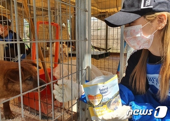 에이핑크 초롱이 4월 25일 동물보호소 강아지들에게 간식을 주고 있다. © 뉴스1