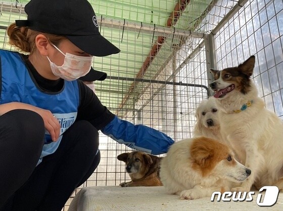 에이핑크 보미가 4월 25일 동물보호소 봉사활동을 하고 있다. © 뉴스1