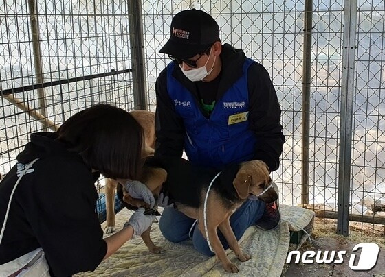 키움애견스쿨 관계자들이 4월 25일 동물보호소에서 강아지들의 발톱을 깎아주고 있다. © 뉴스1