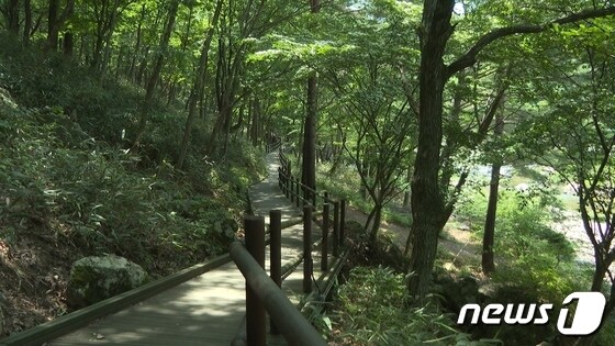 전북 진안군 주천면에 소재한 운일암반일암 숲길이 한국관광공사가 선정한 ‘여름 비대면 안심관광지 25선’에 이름을 올렸다.(진안군제공)2021.6.13/뉴스1