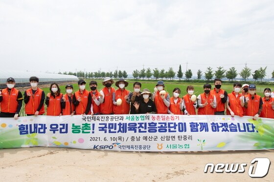 국민체육진흥공단이 농촌 일손돕기 봉사활동에 나섰다.(국민체육진흥공단 제공) © 뉴스1