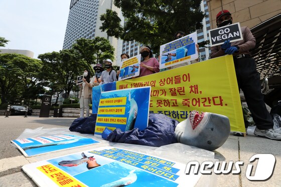 한국동물보호연합 '상어를 살려주세요'