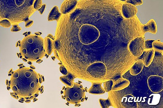 미 식품의약국(FDA)의 코로나바이러스 모형도. © AFP=뉴스1 자료 사진