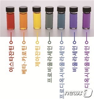 미생물을 통해 생산한 일곱 가지 무지개 색소(KAIST 제공) ©뉴스1