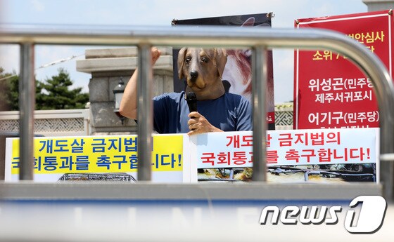 '중복' 맞은 동물보호단체 "개 도살 금지법 제정하라"