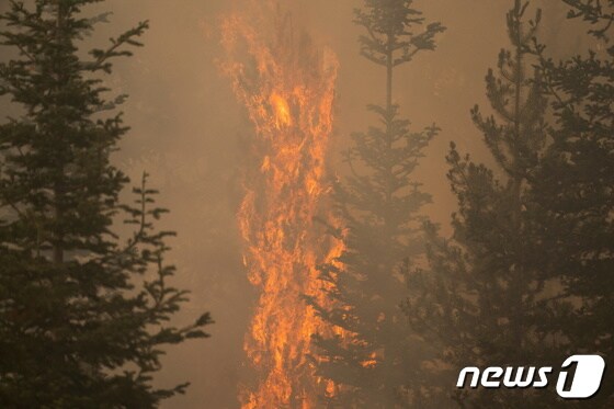 7월 6일 오리건주에서 발생한 '부트레그 산불'. © 로이터=뉴스1 © News1 정윤영 기자