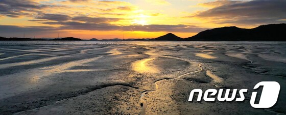 한국의 갯벌(Getbol, Korean Tidal Flats)이 세 번째 도전만에 유네스코 세계유산에 등재됐다.(뉴스1 DB) 2021.7.26/뉴스1