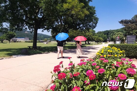 관광객이 양심 양산을 쓰고 해미읍성을 산책하는 모습© 뉴스1