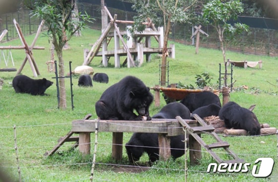 베트남 탐 다오 국립공원의 생츄어리. (출처 : 곰 보금자리 프로젝트 홈페이지) © 뉴스1