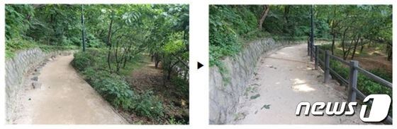 서울 동작구 까치산 산책로의 개전 전(왼쪽)과 후 모습(동작구 제공).© 뉴스1