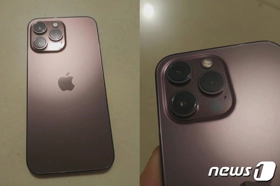 애플이 오는 9월 선보일 것으로 예상되는 아이폰13에서 '로즈골드' 색상이 부활할 것으로 보인다. 실물 제품의 사진이 중국 쪽에서 유출됐다. (두안루이 트위터 갈무리) © 뉴스1