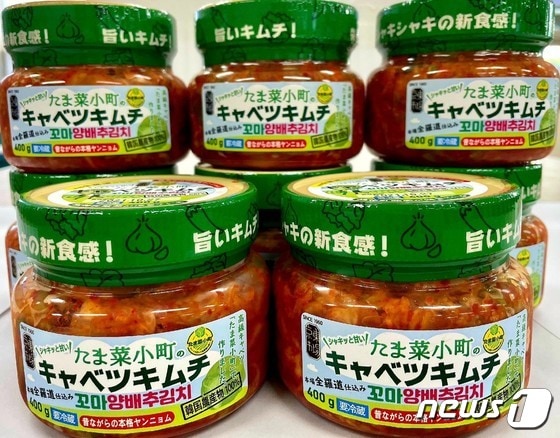 군산 꼬꼬마양배추 김치인 '타마나코마치(미인양배추)'가 일본 수출길에 올랐다.© 뉴스1