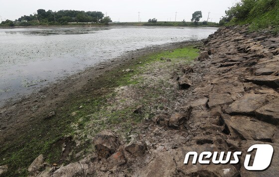 경기도 화성시 남양읍의 한 저수지가 바닥을 드러내고 있다.  2021.8.6/뉴스1 © News1 김영운 기자