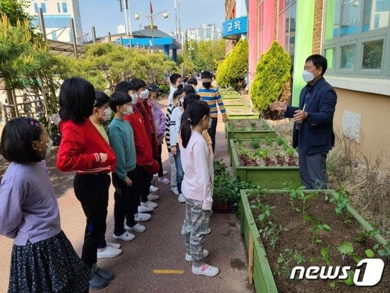 서천초등학교 텃밭에서 학생들을 대상으로 도시농업관리사가 강의를 하고 있는 모습.(용인시 제공) © News1 김평석 기자