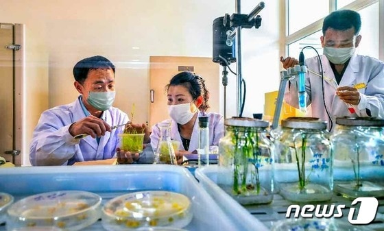 북한 농업연구원 벼연구소 연구지들…