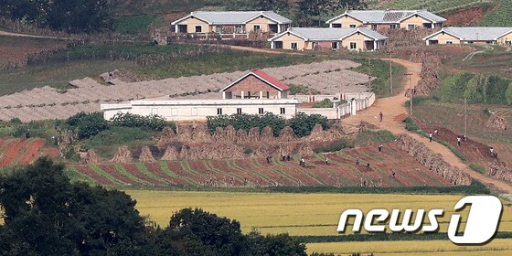 가을걷이로 분주한 북한 주민들